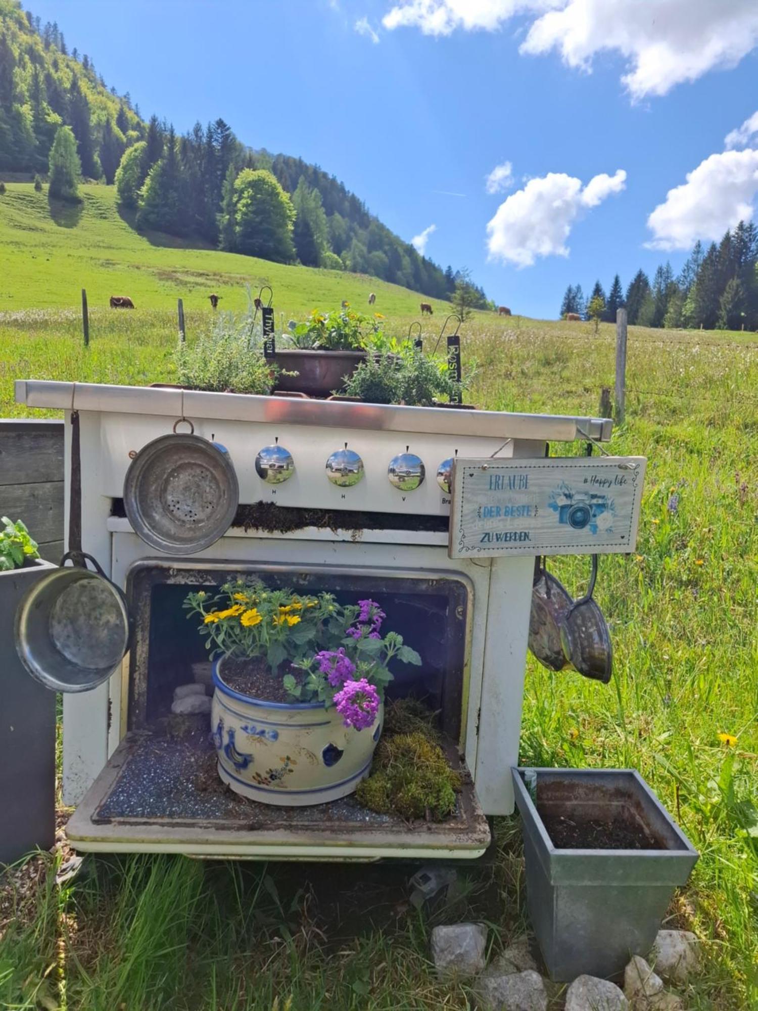 Ammergauer Vier Jahreszeiten Bad Kohlgrub Exterior foto